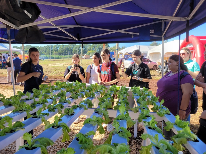 Alumnos en la cosecha de vegetales