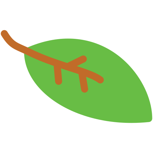hoja