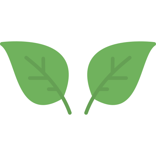 hoja