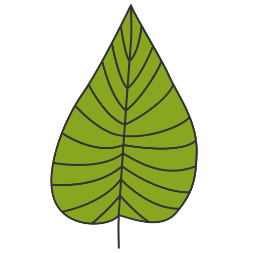 hoja