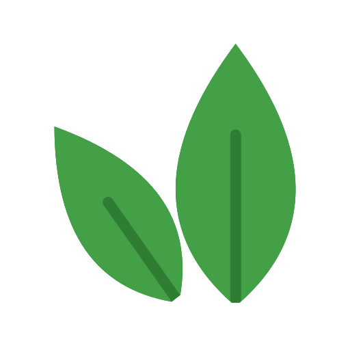 hoja